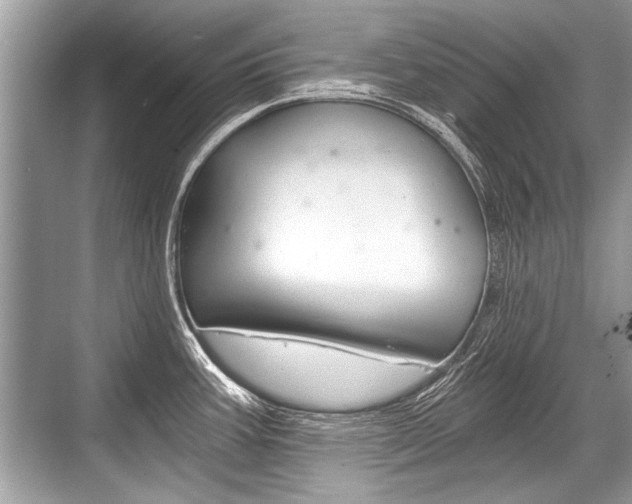 X0000068811387200605050905
