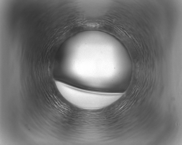 X0000068811394200605050904
