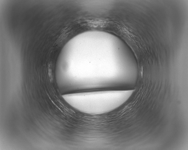 X0000068811396200605050904