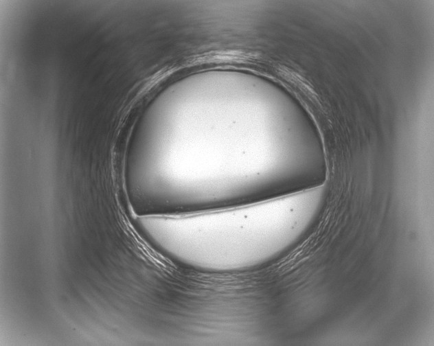 X0000068811404200605050904