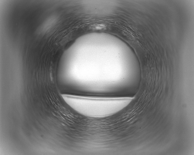 X0000068811442200605050904