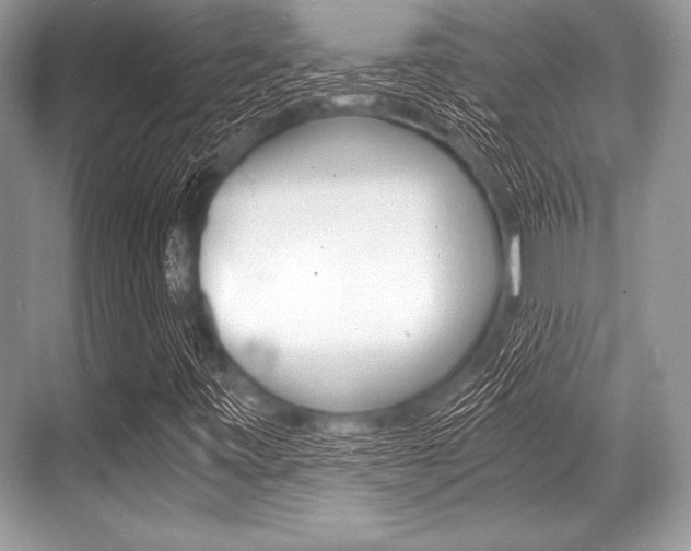 X0000068811443200605050904
