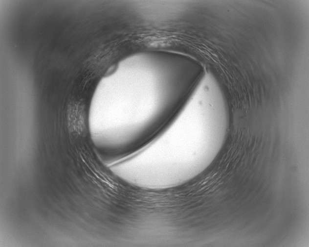 X0000068811444200605050904