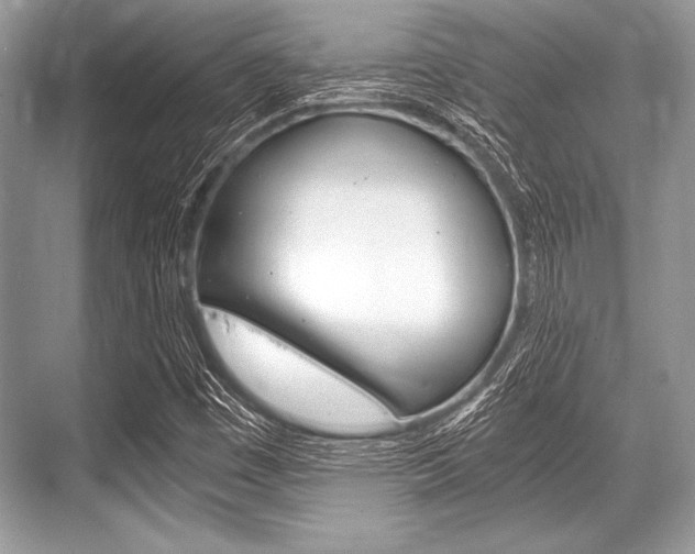 X0000068811449200605050904