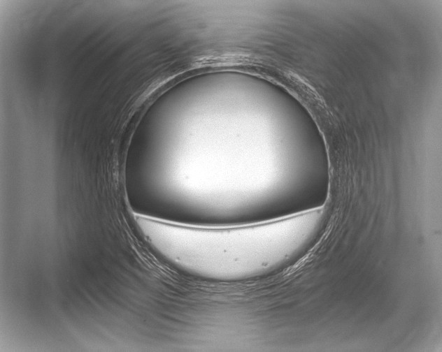 X0000068811457200605050904