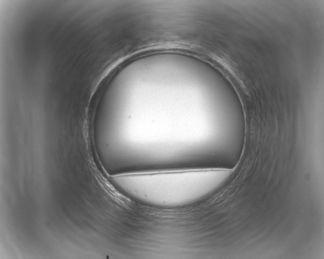 X0000068811460200605050904