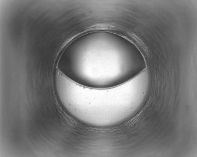 X0000068811465200605050904