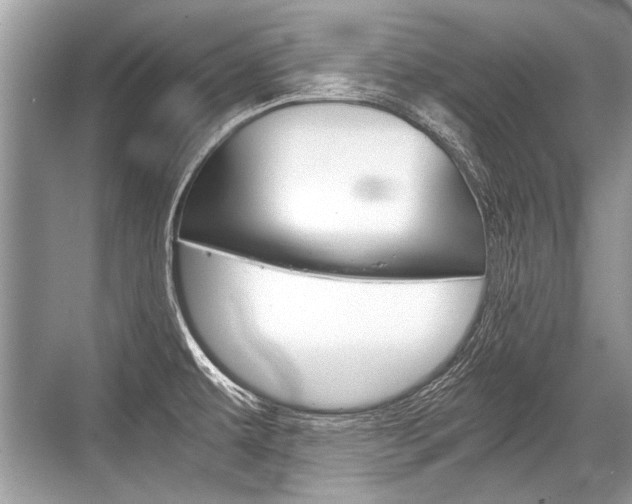 X0000068811479200605050904