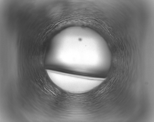 X0000068811490200605050903