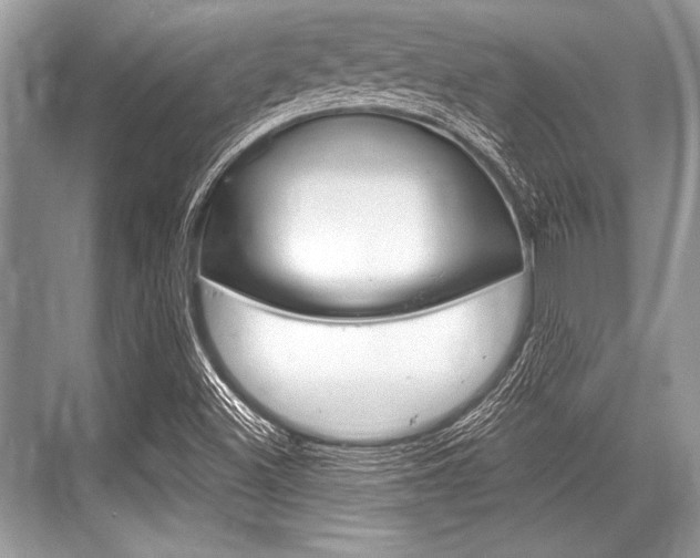 X0000068811500200605050903