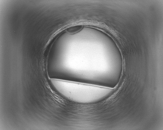 X0000068811501200605050903