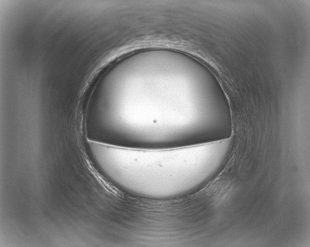 X0000068811507200605050903
