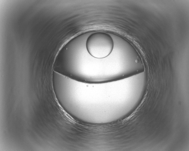 X0000068811529200605050903