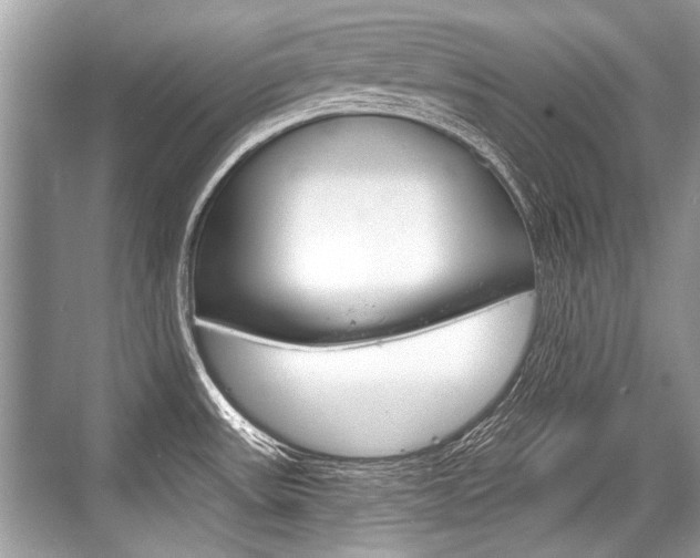 X0000068811531200605050903