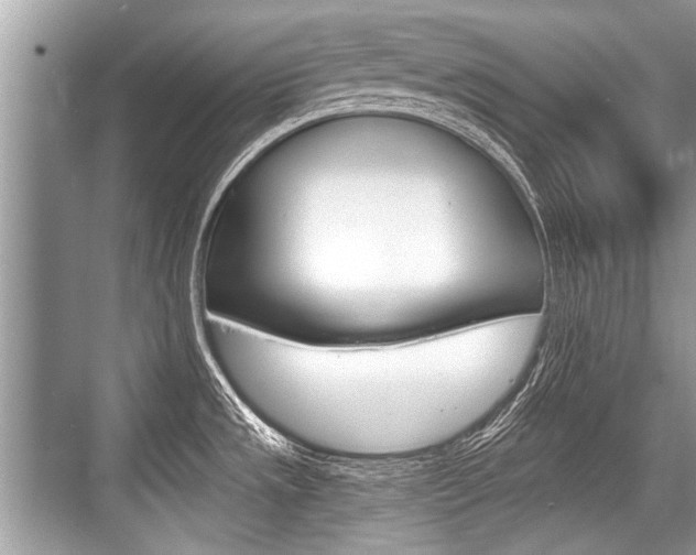 X0000068811533200605050903