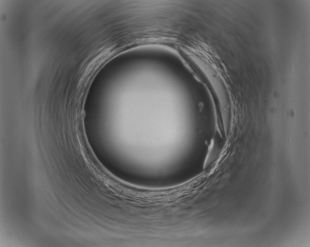 X0000068810001200605051157