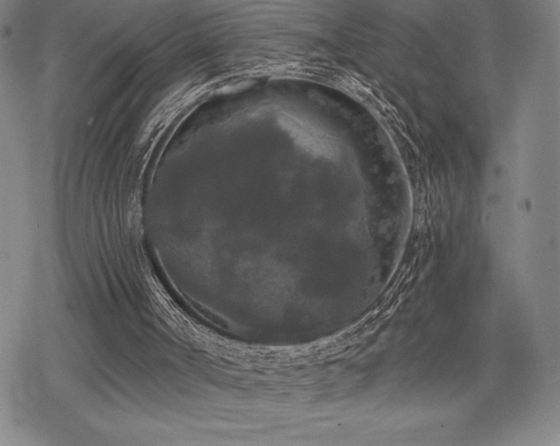 X0000068810002200605051157