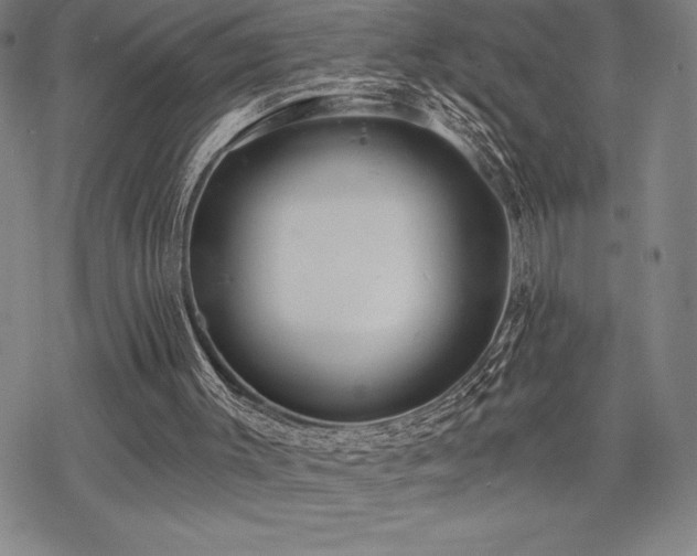 X0000068810003200605051157