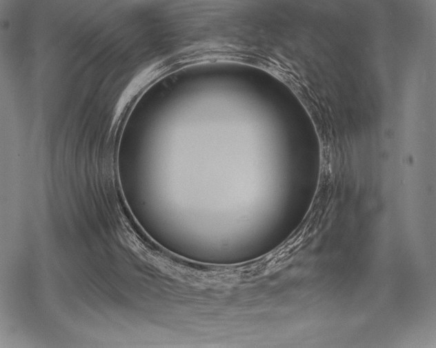 X0000068810004200605051157