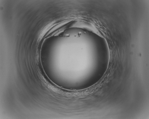 X0000068810005200605051157