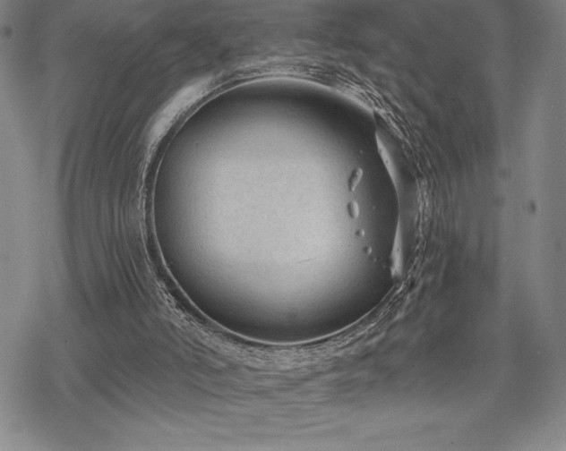 X0000068810006200605051157