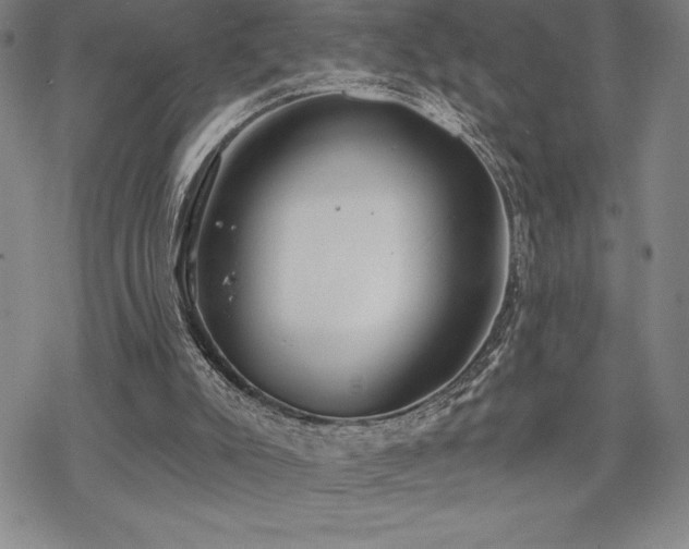 X0000068810007200605051157