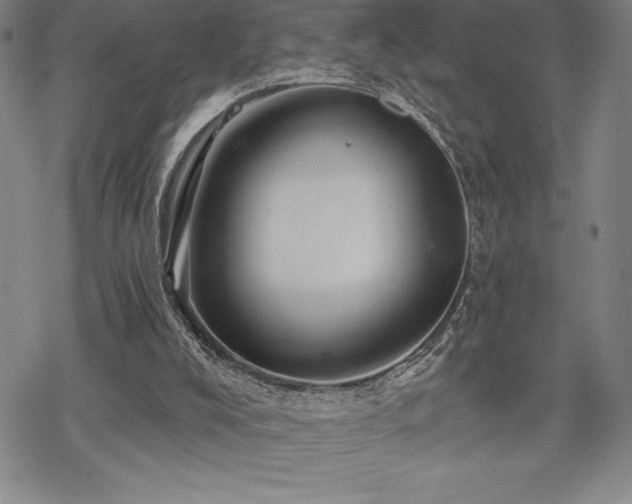 X0000068810008200605051157