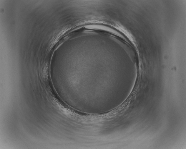 X0000068810009200605051157