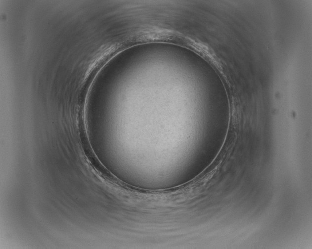 X0000068810010200605051157