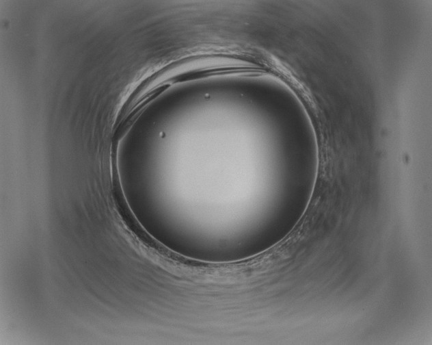 X0000068810011200605051157