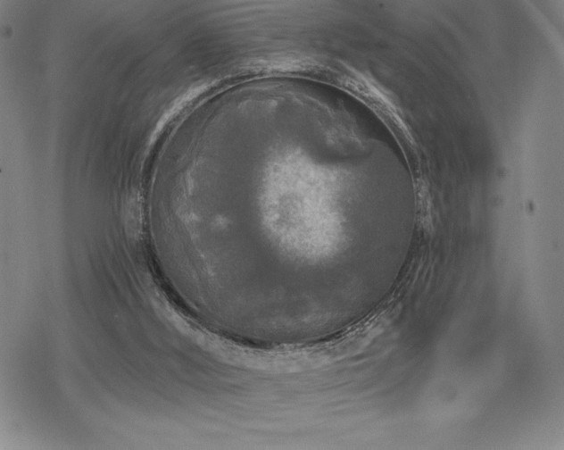 X0000068810012200605051157