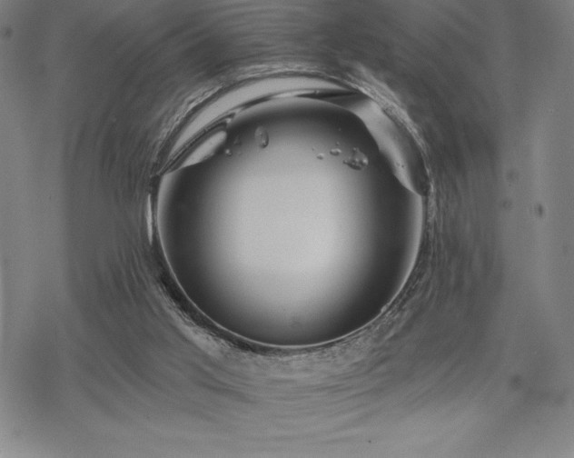 X0000068810013200605051157