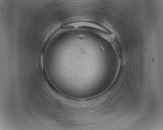 X0000068810014200605051156