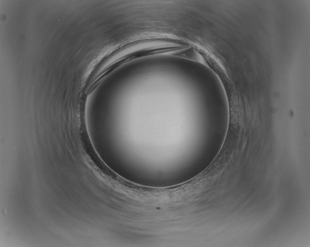 X0000068810015200605051156