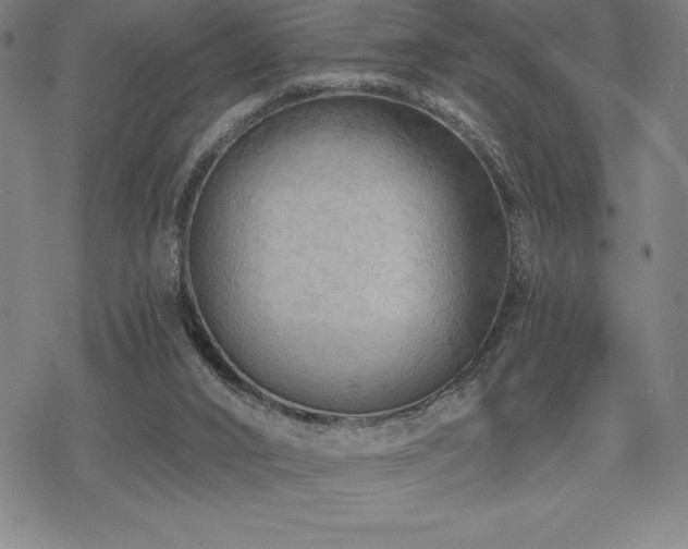 X0000068810016200605051156