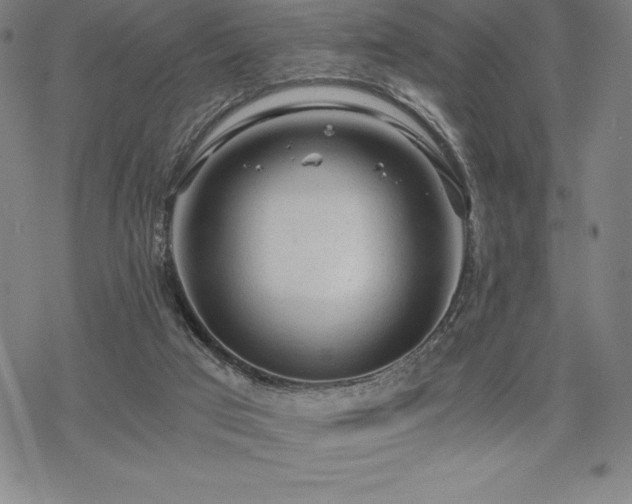 X0000068810017200605051156