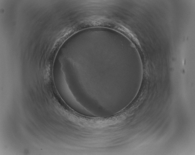 X0000068810018200605051156