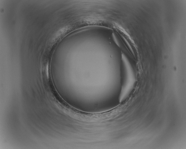 X0000068810019200605051156