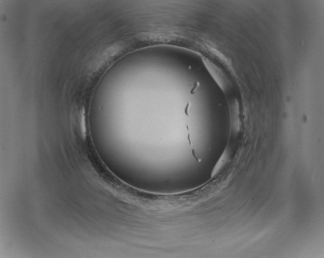 X0000068810020200605051156