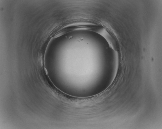 X0000068810021200605051156