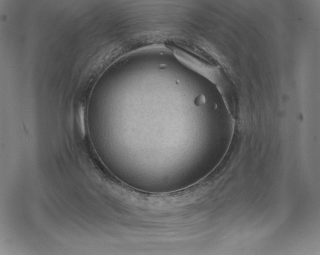 X0000068810022200605051156