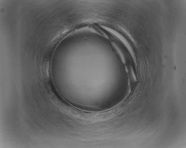 X0000068810023200605051156