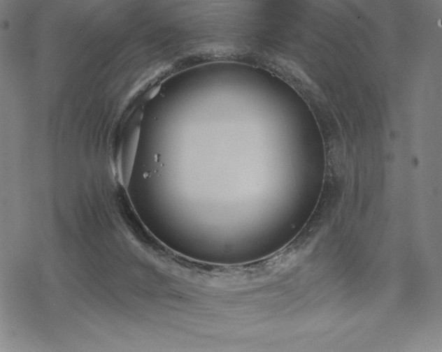 X0000068810024200605051156