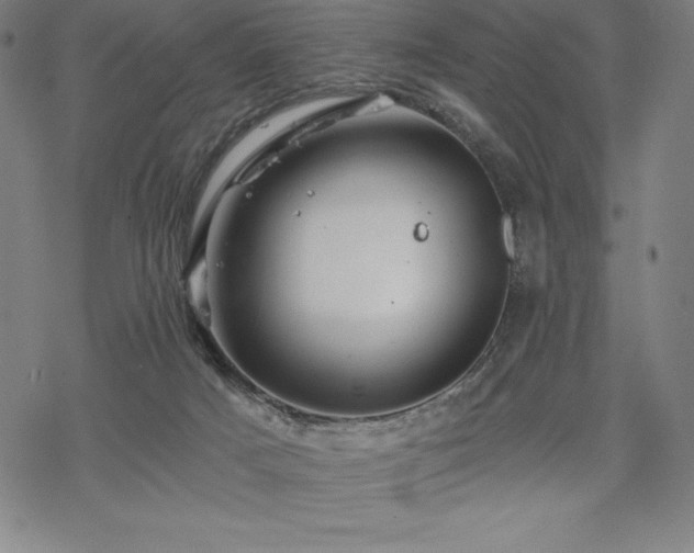 X0000068810025200605051156