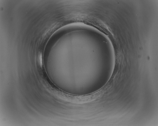 X0000068810027200605051156