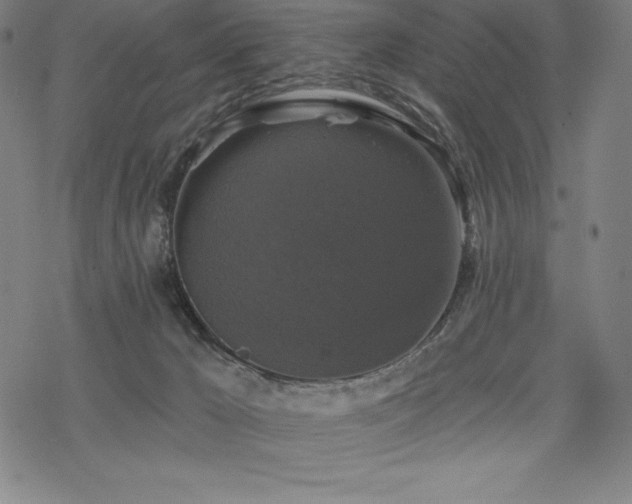 X0000068810029200605051156