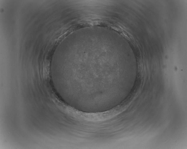 X0000068810030200605051156