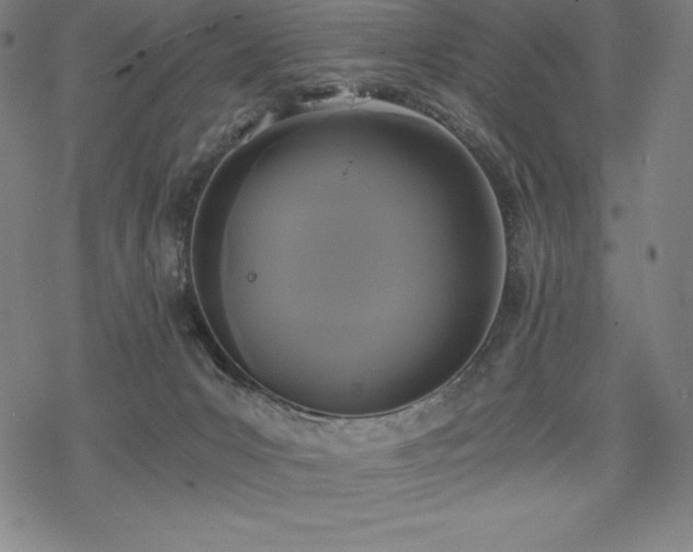 X0000068810031200605051156