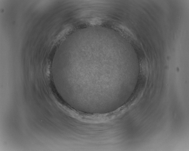 X0000068810032200605051156