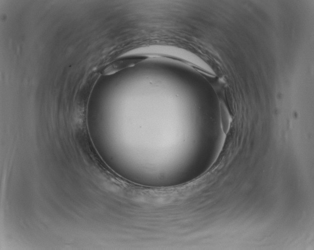 X0000068810033200605051156